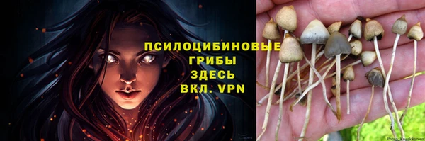 индика Алзамай