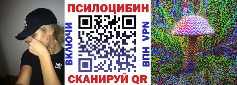 Псилоцибиновые грибы Psilocybe  закладка  Ленинск 